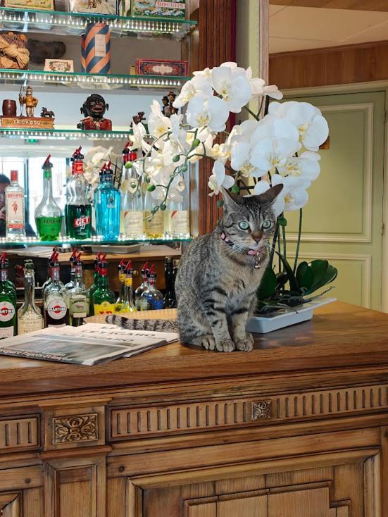 Le Relais Medicis Otel Paris Dış mekan fotoğraf